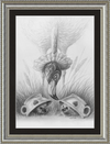 Flamingo and Hedgehogs (Drawing) Art Print
