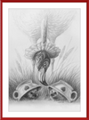 Flamingo and Hedgehogs (Drawing) Art Print