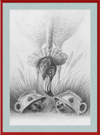 Flamingo and Hedgehogs (Drawing) Art Print