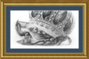 The Old Crab (Drawing) Art Print