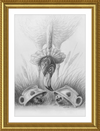 Flamingo and Hedgehogs (Drawing) Art Print
