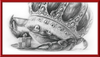 The Old Crab (Drawing) Art Print