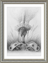 Flamingo and Hedgehogs (Drawing) Art Print