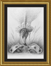 Flamingo and Hedgehogs (Drawing) Art Print