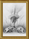 Flamingo and Hedgehogs (Drawing) Art Print