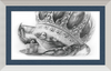 The Old Crab (Drawing) Art Print