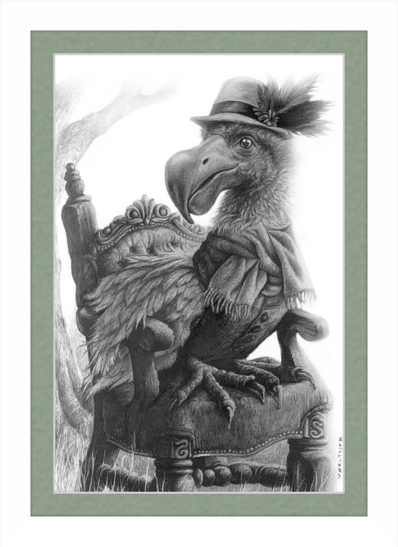 The Dodo (Drawing) Art Print