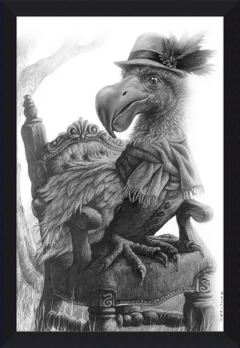 The Dodo (Drawing) Art Print