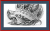 The Old Crab (Drawing) Art Print