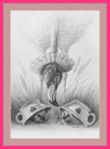 Flamingo and Hedgehogs (Drawing) Art Print