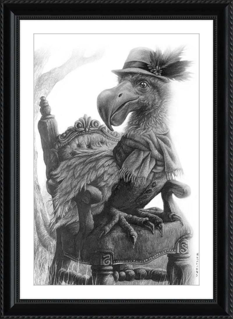 The Dodo (Drawing) Art Print