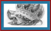 The Old Crab (Drawing) Art Print