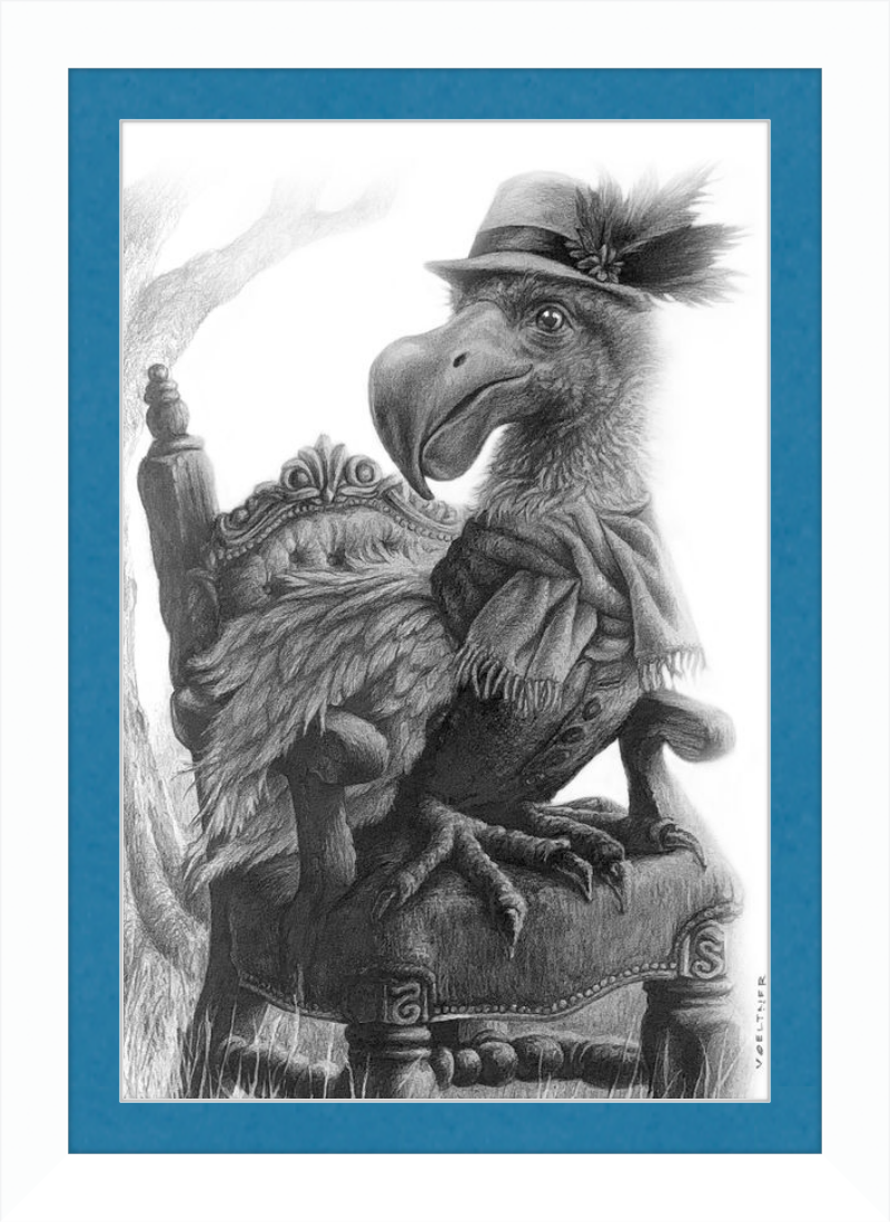 The Dodo (Drawing) Art Print