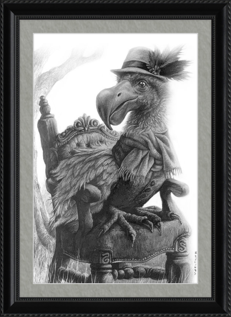 The Dodo (Drawing) Art Print