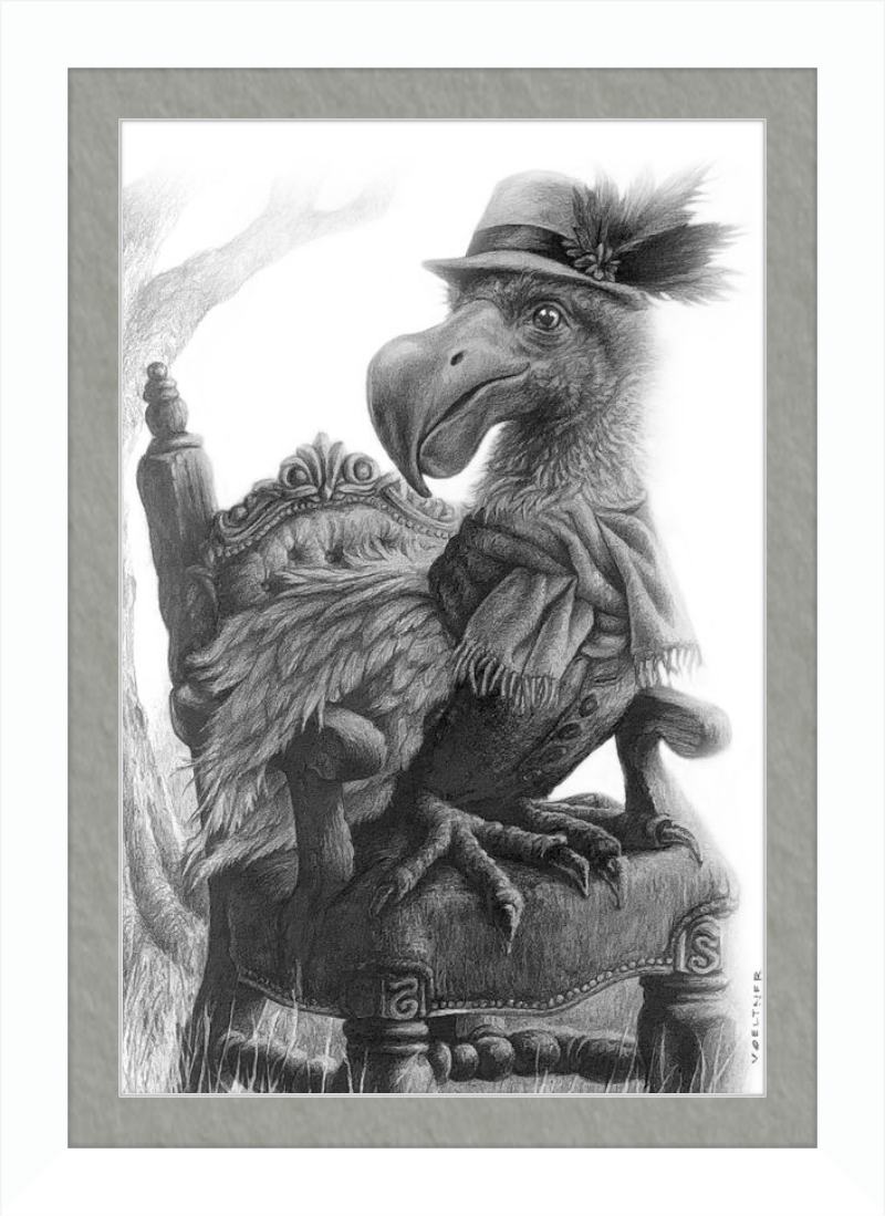 The Dodo (Drawing) Art Print