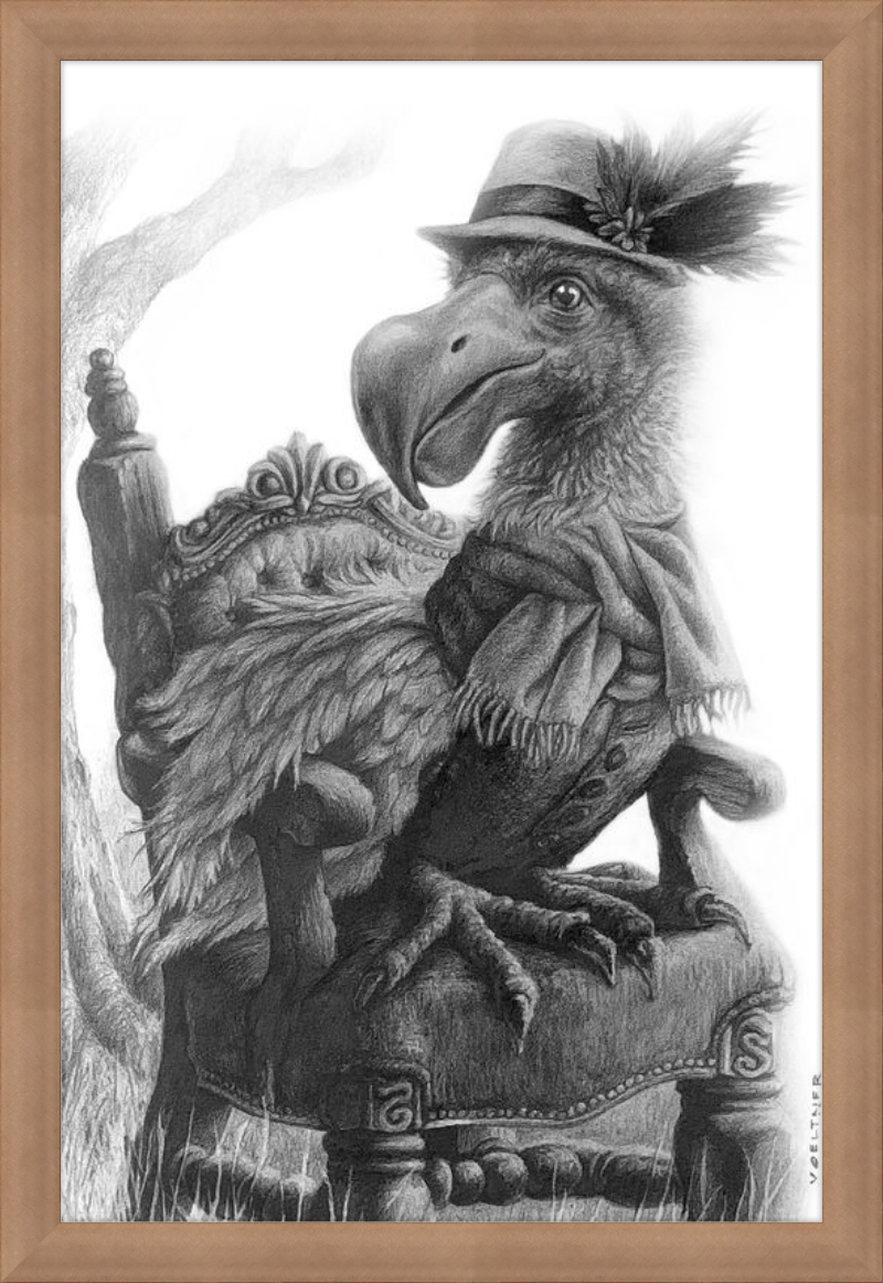 The Dodo (Drawing) Art Print
