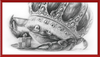 The Old Crab (Drawing) Art Print