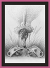 Flamingo and Hedgehogs (Drawing) Art Print