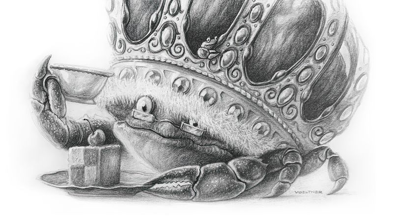 The Old Crab (Drawing) Art Print